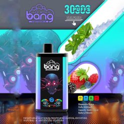 Bang 30.000 Pro