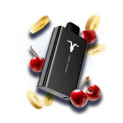 IGNITE V80 Vape-Gerät