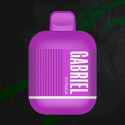 UWELL GABRIEL BE6.000